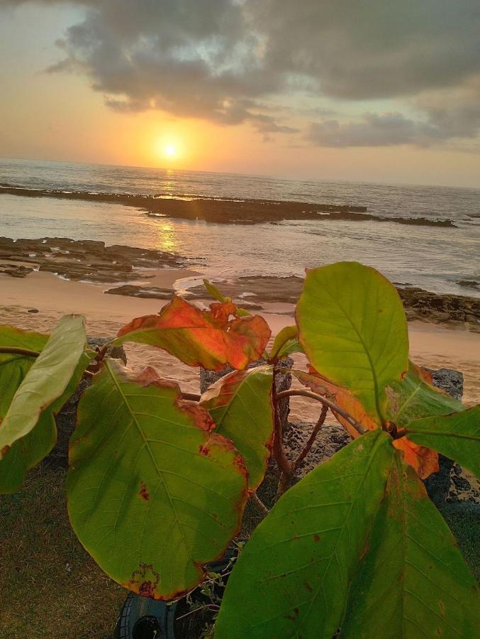 Tropicalia Tranquilidade A Beira Mar * Santa Cruz Cabralia