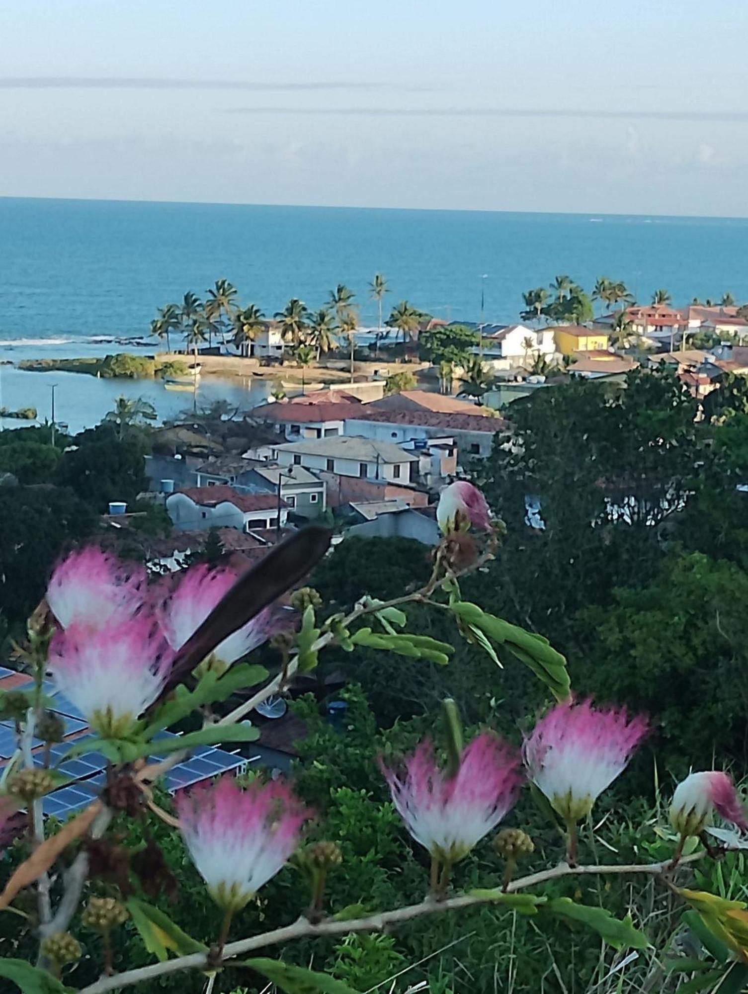 Tropicalia Tranquilidade A Beira Mar Santa Cruz Cabralia
