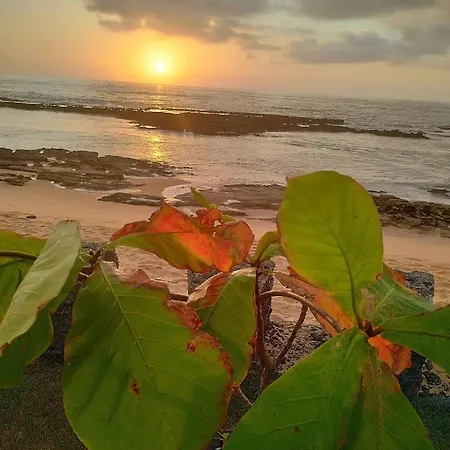 Pousada Tropicalia Tranquilidade A Beira Mar Santa Cruz Cabralia Exterior photo