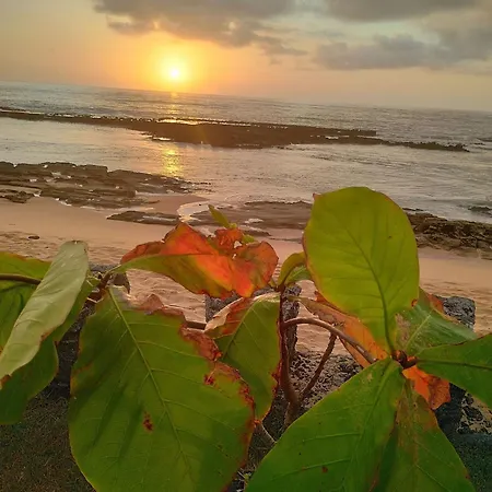 Pousada Tropicalia Tranquilidade A Beira Mar Santa Cruz Cabralia Exterior photo
